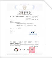 Trademark TS T&S  40-0742506