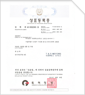 Trademark TNS 40-0622395