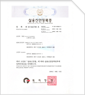 SkateBoard 20-0441786